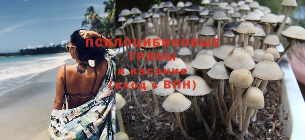 МДПВ Заволжск