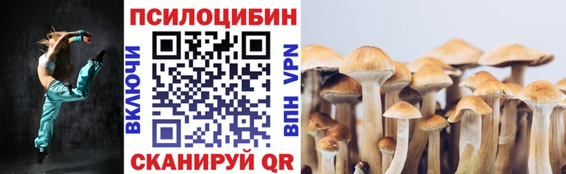 Галлюциногенные грибы Psilocybe  Купить где  Заозёрск 